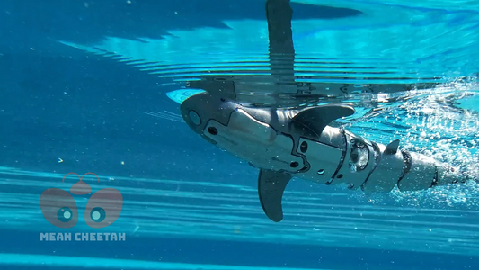 RC Diving Shark